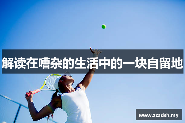 解读在嘈杂的生活中的一块自留地